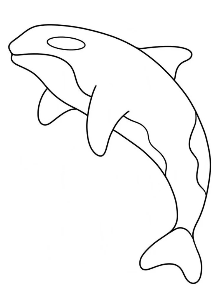 Kolorowanka Narysuj Orka 8