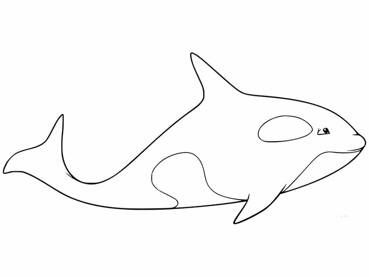 Kolorowanka Narysuj Orka bezpłatny wydruku