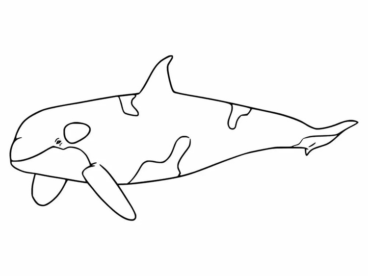 Kolorowanka Narysuj Orka wydruku