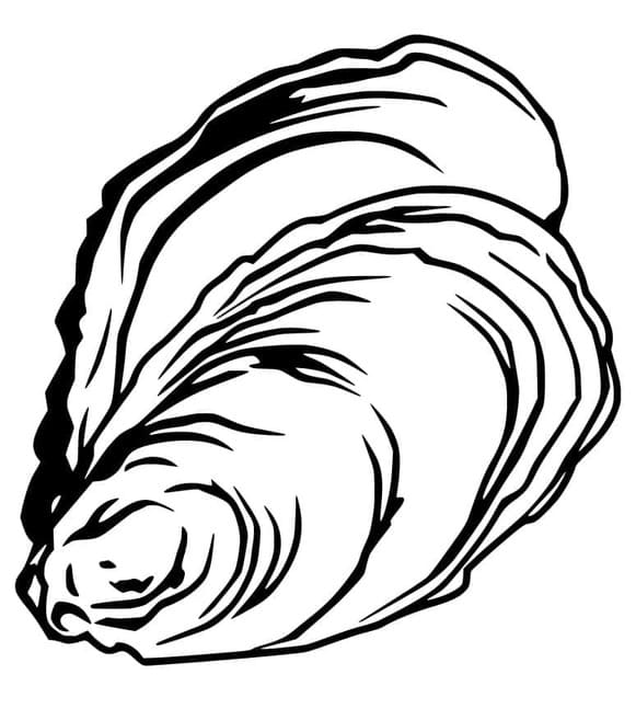 Kolorowanka Narysuj Ostryga bezpłatnie dla dzieci