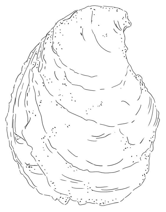 Kolorowanka Narysuj Ostryga dla dzieci