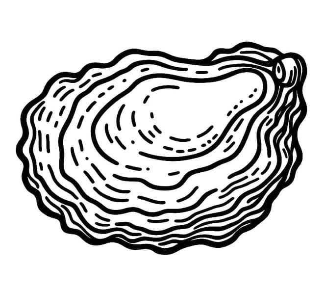 Kolorowanka Narysuj Ostryga podstawowy