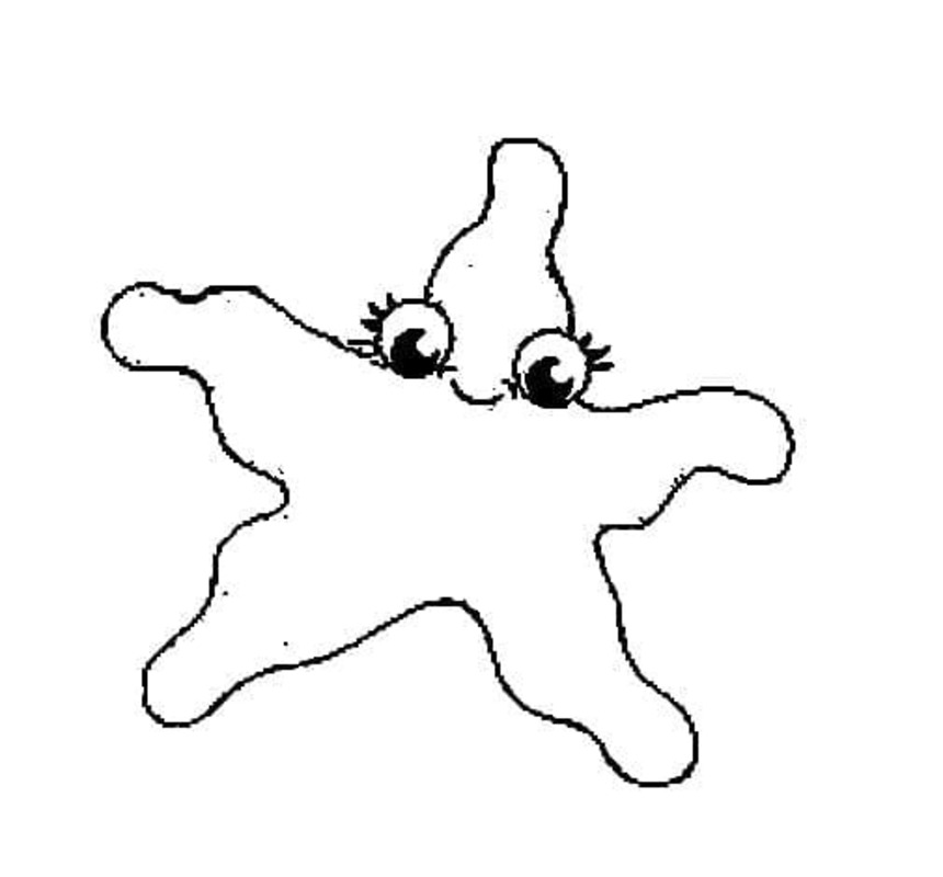 Kolorowanka Narysuj Rozgwiazda dla dzieci