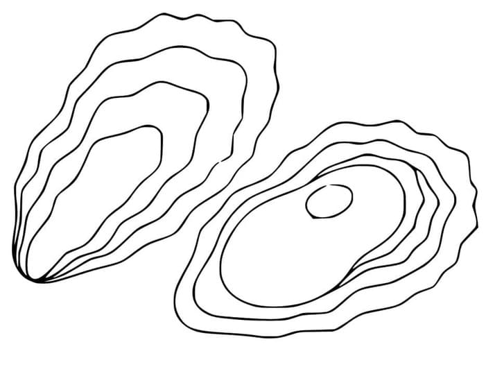 Kolorowanka Obraz Ostryga bezpłatny wydruku