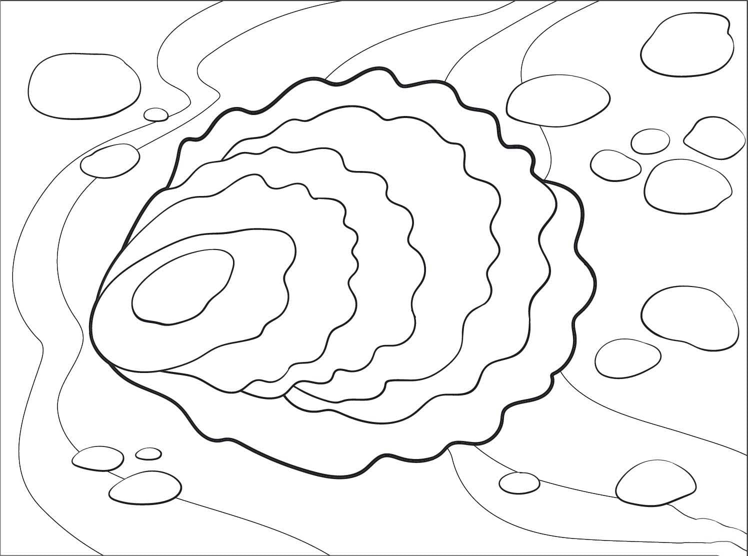 Kolorowanka Obraz Ostryga bezpłatny