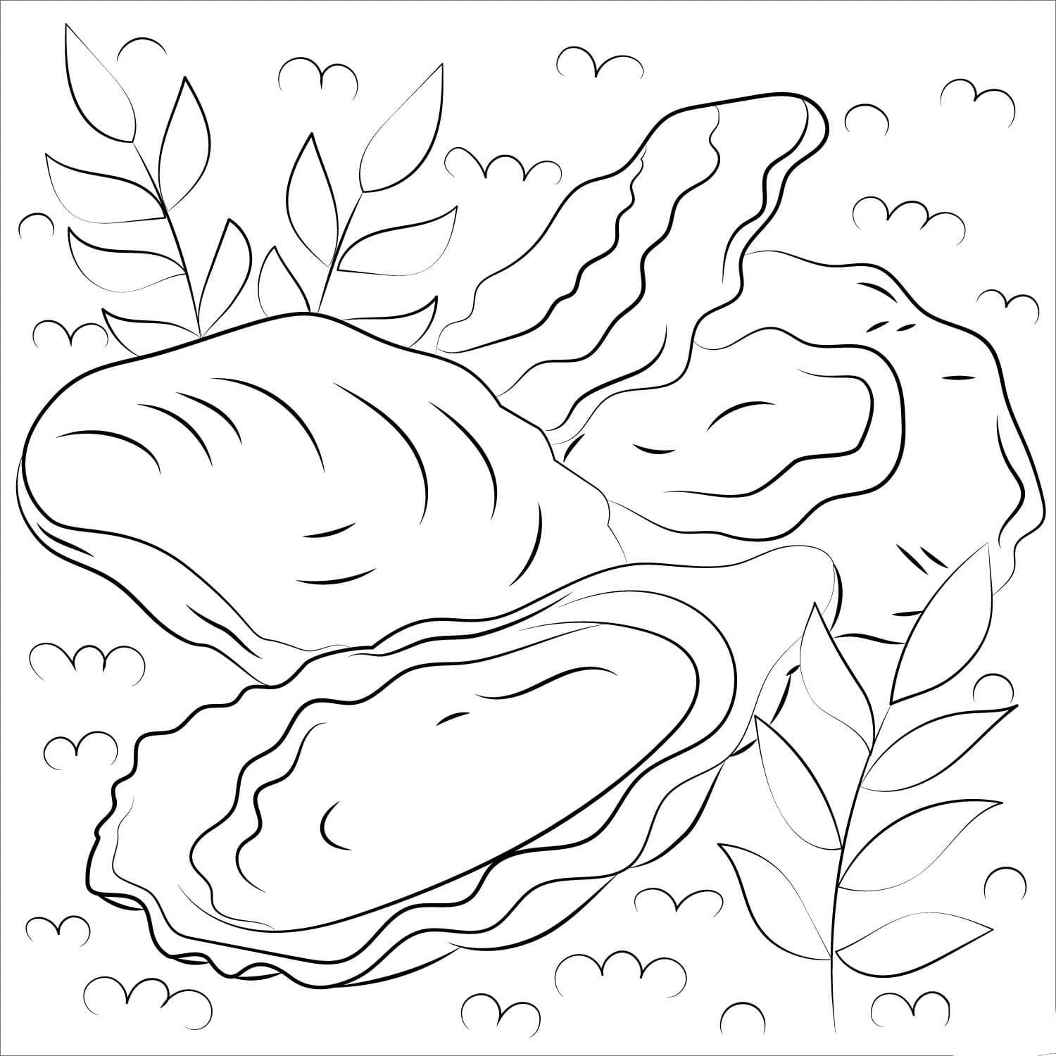 Kolorowanka Obraz Ostryga łatwy