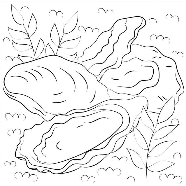 Kolorowanka Obraz Ostryga