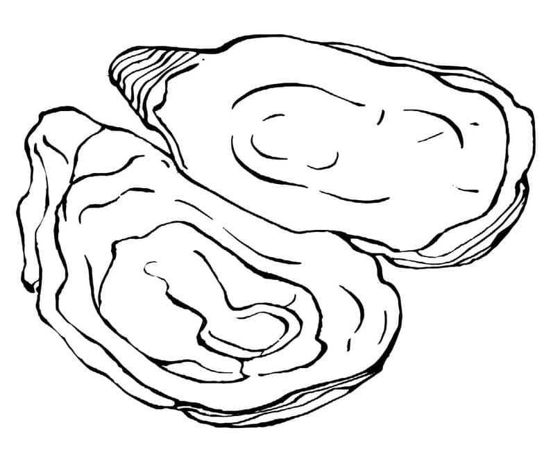 Kolorowanka Ostryga bezpłatny wydruku