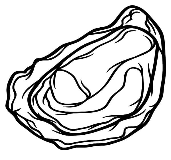 Kolorowanka Ostryga bezpłatny