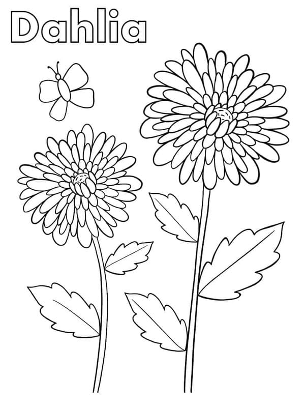 Kolorowanka Dalia do druku