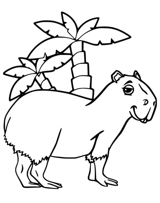 Kolorowanka Kapibara podstawowy