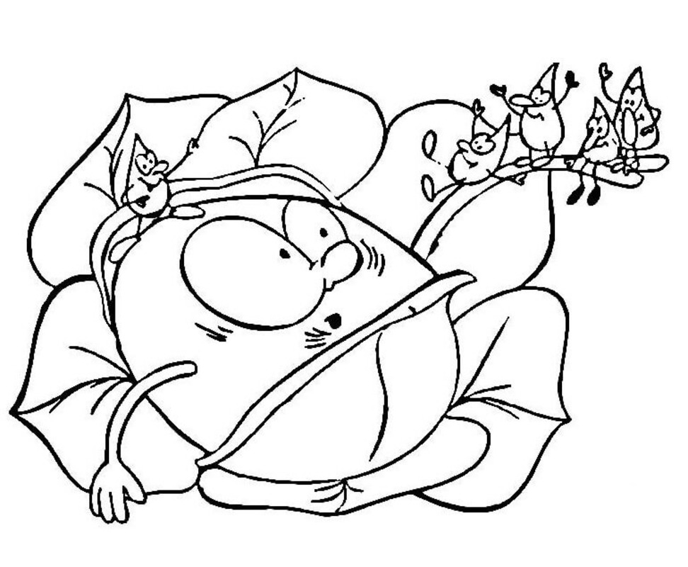 Kolorowanka Kapusta bezpłatnie dla dzieci