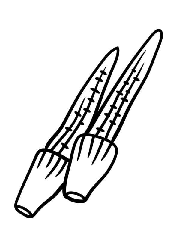 Kolorowanka Kukurydza prosty do druku