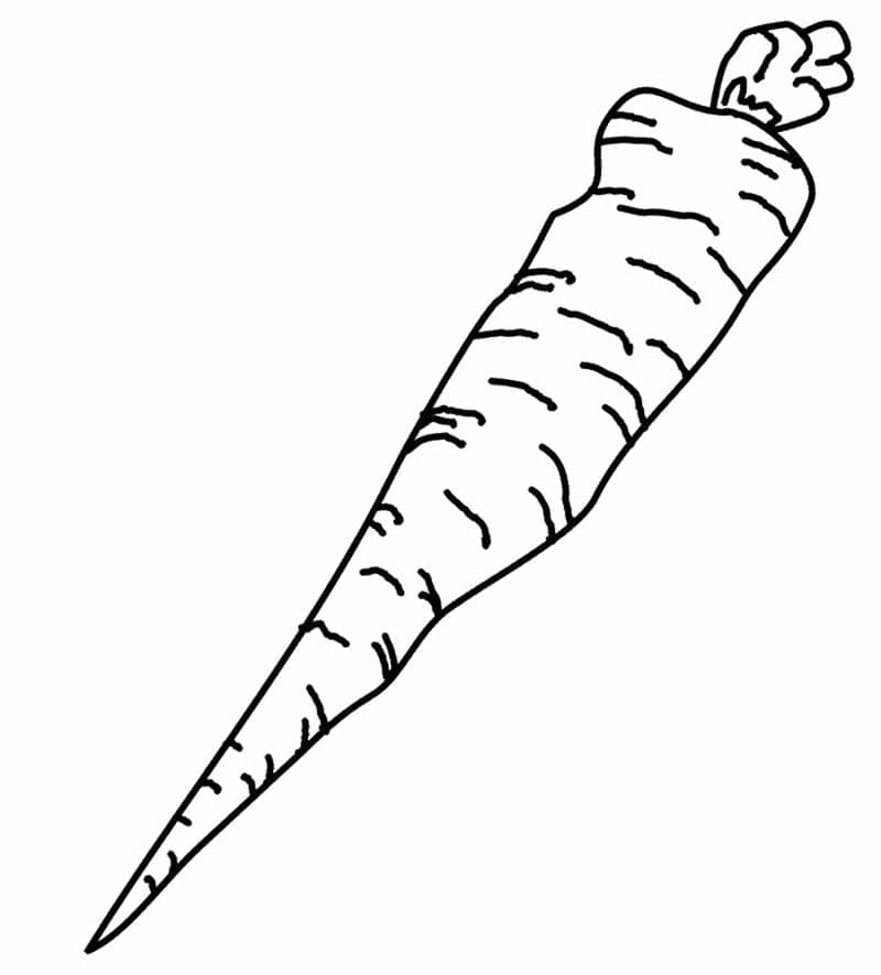 Kolorowanka Marchewki 2