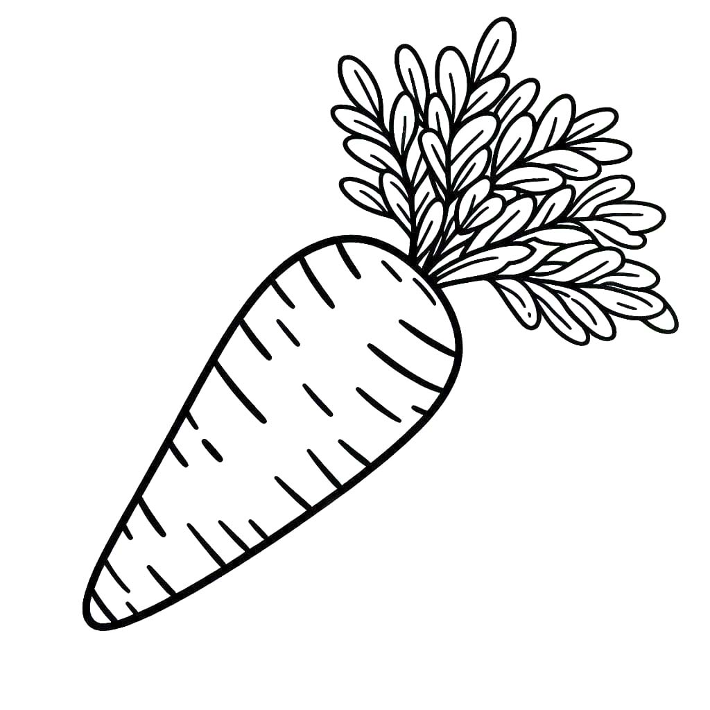 Kolorowanka Marchewki bezpłatnie do druku dla dzieci