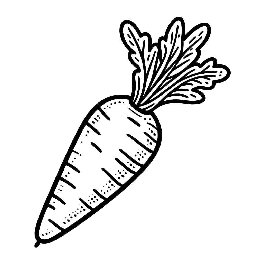 Kolorowanka Marchewki do druku