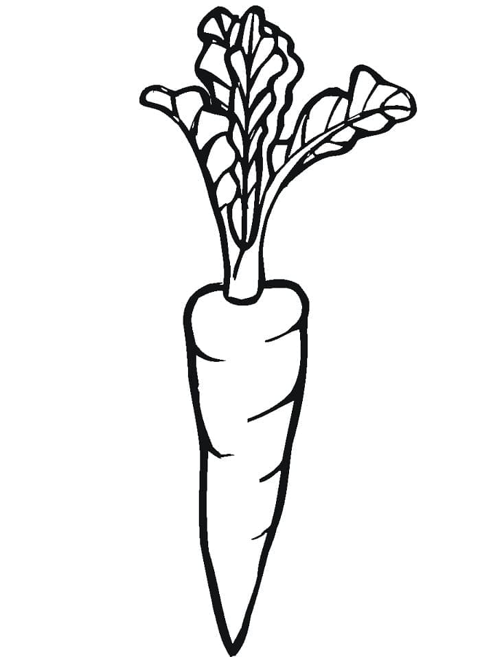 Kolorowanka Marchewki wydruku