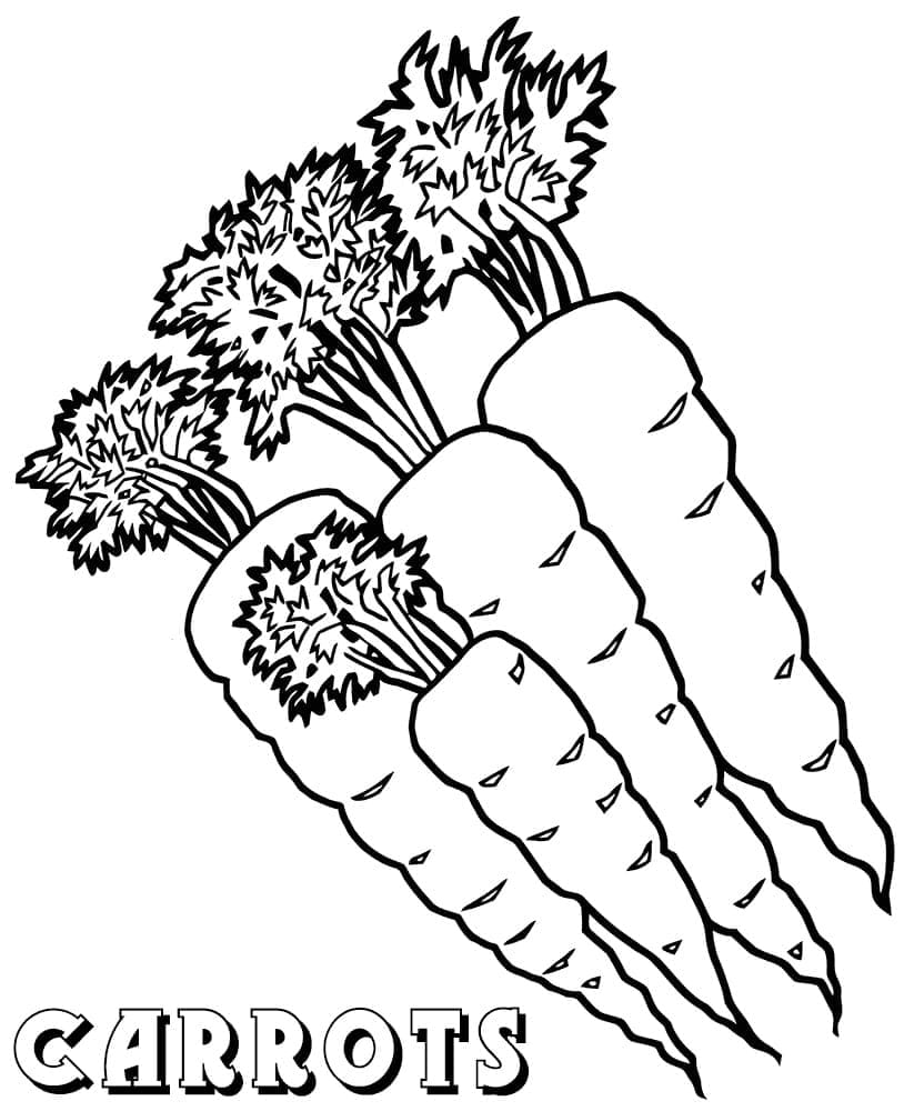 Kolorowanka Narysuj Cztery Marchewki