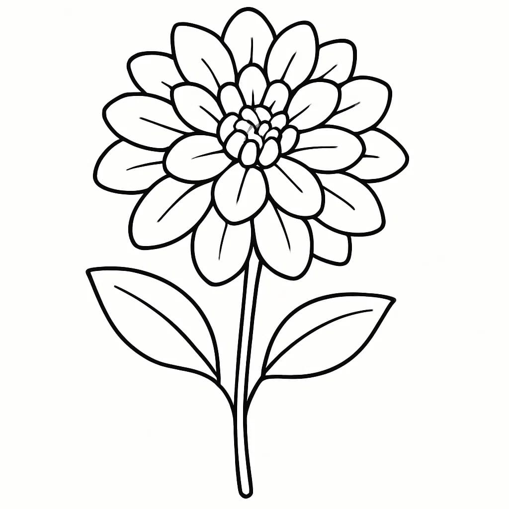 Kolorowanka Narysuj Dalia bezpłatny