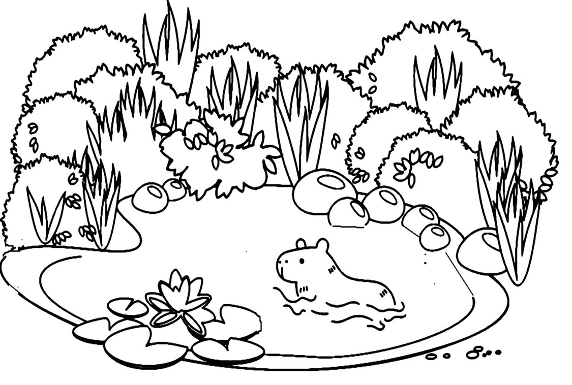 Kolorowanka Narysuj Kapibara bezpłatna podstawowy