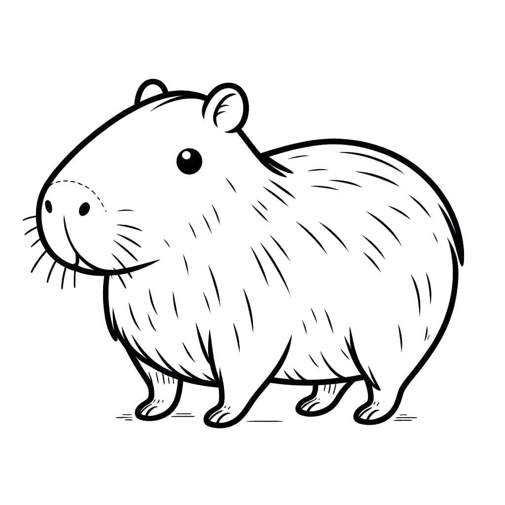 Kolorowanka Narysuj Kapibara wydruku