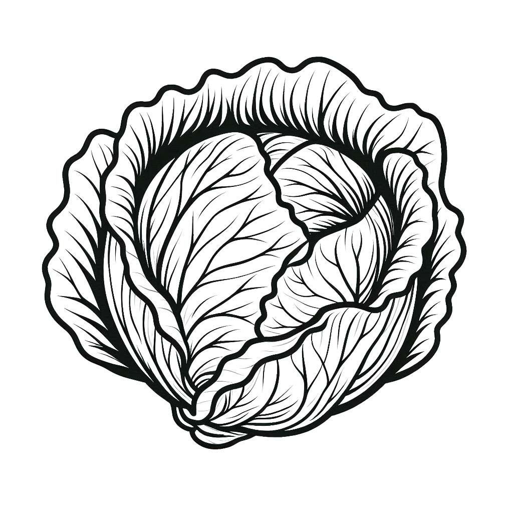 Kolorowanka Narysuj Kapusta 1