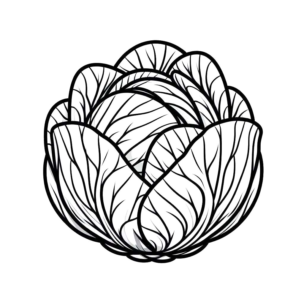 Kolorowanka Narysuj Kapusta 4