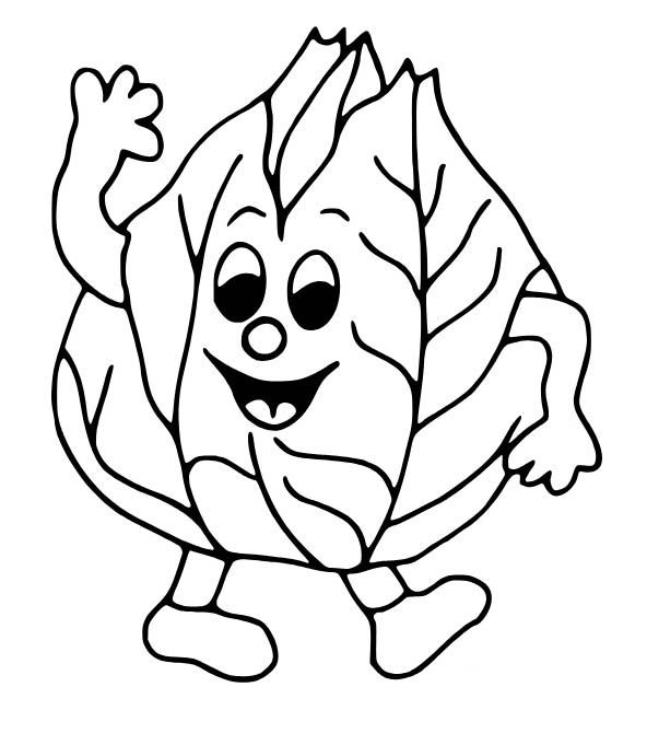 Kolorowanka Narysuj Kapusta 6