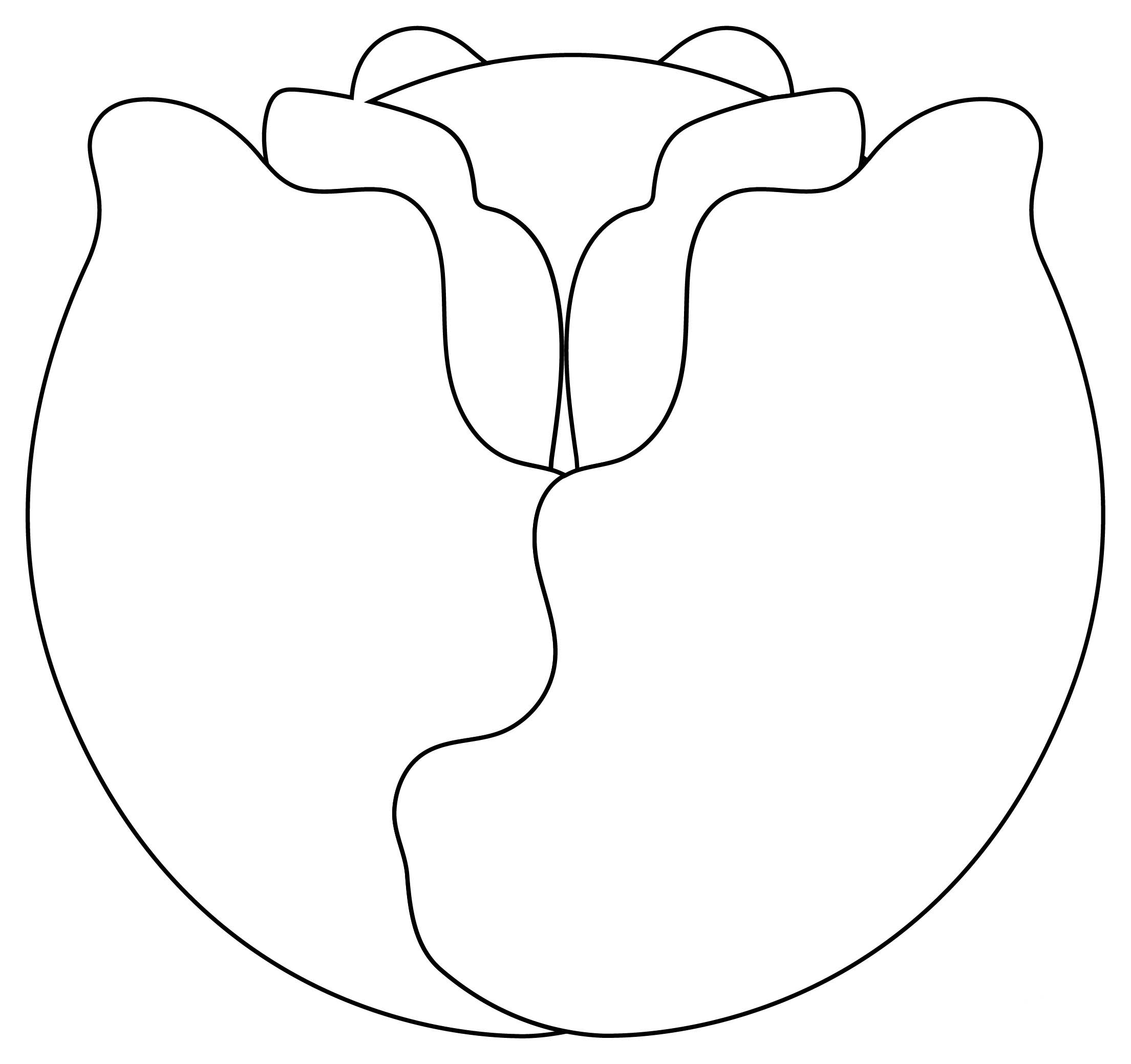 Kolorowanka Narysuj Kapusta 8