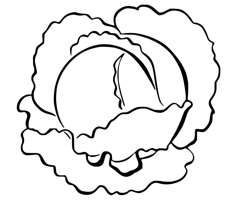 Kolorowanka Narysuj Kapusta bezpłatna prosty do druku