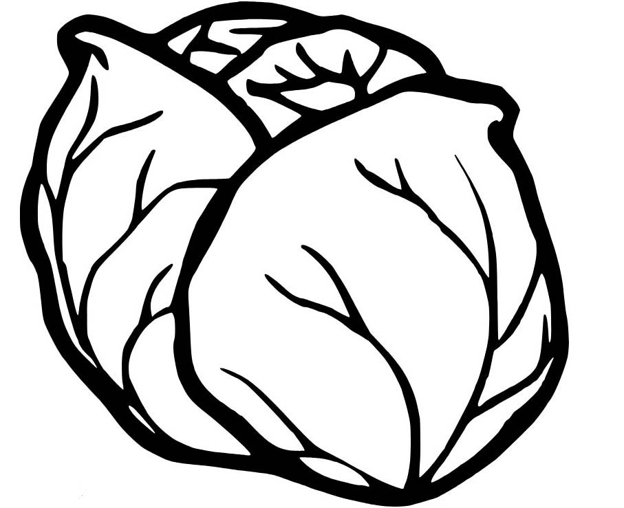Kolorowanka Narysuj Kapusta bezpłatna prosty