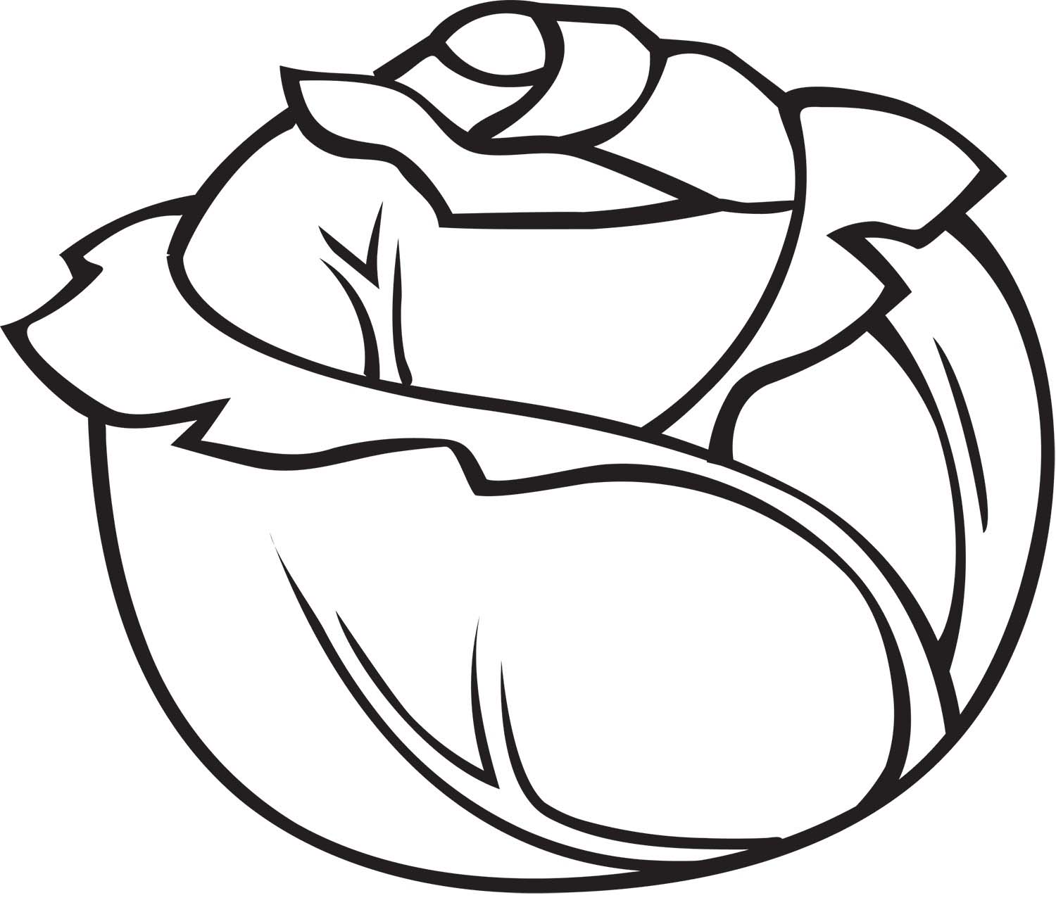 Kolorowanka Narysuj Kapusta bezpłatny wydruku