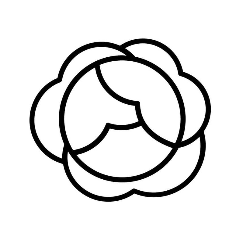 Kolorowanka Narysuj Kapusta łatwy do druku