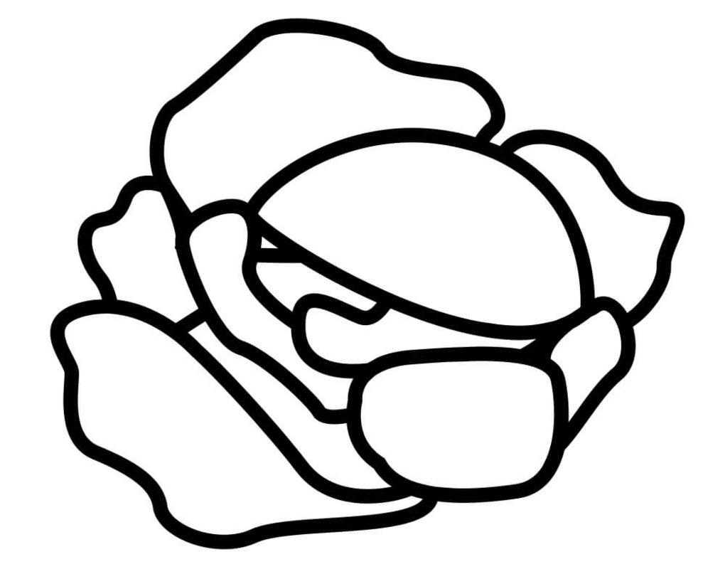 Kolorowanka Narysuj Kapusta podstawowy do druku