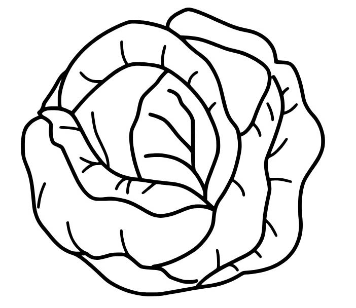 Kolorowanka Narysuj Kapusta prosty do druku