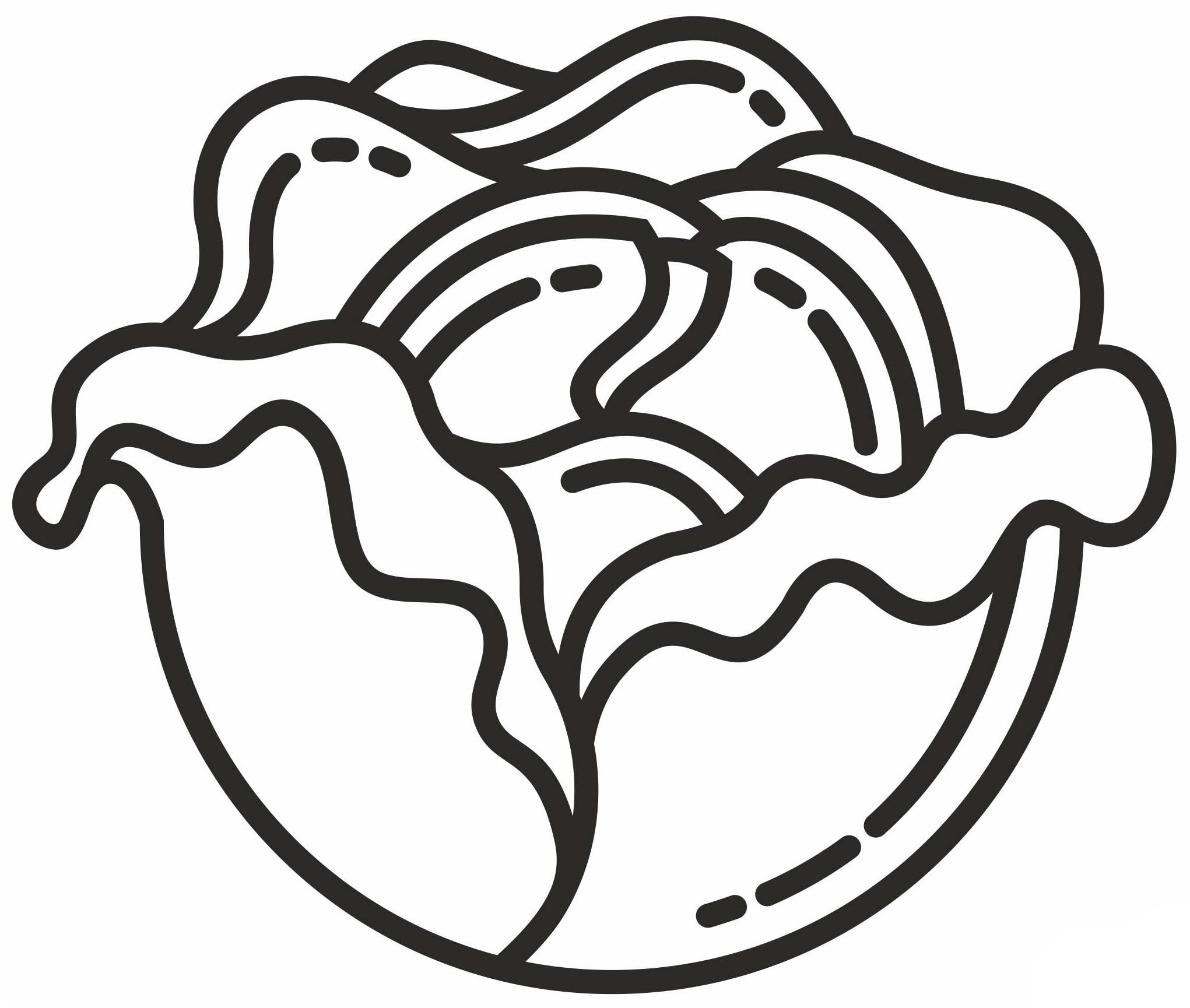 Kolorowanka Narysuj Kapusta wydruku