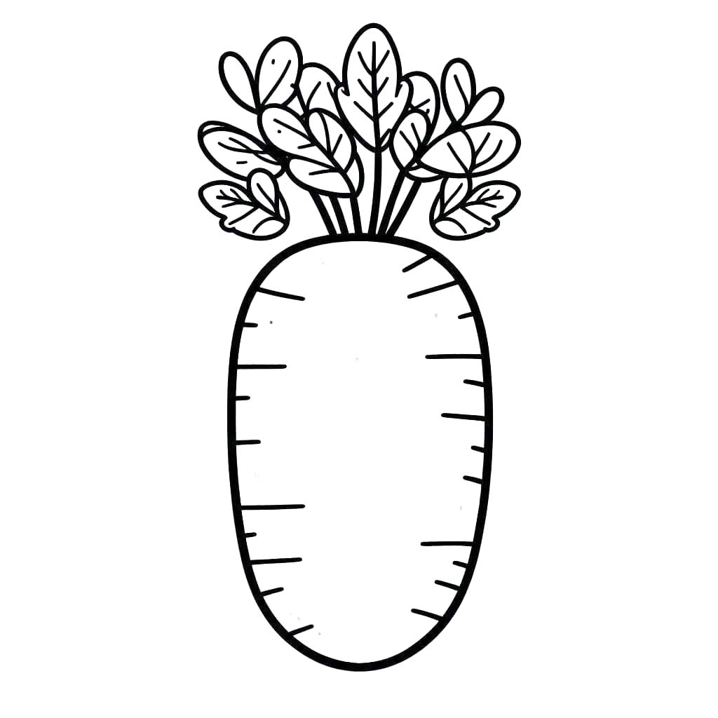 Kolorowanka Narysuj Marchewki do druku dla dzieci