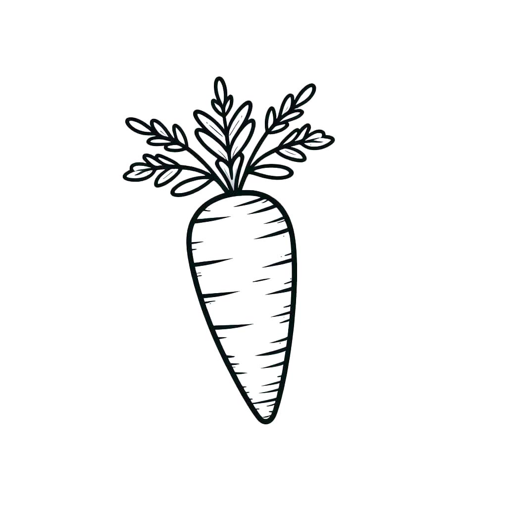 Kolorowanka Narysuj Marchewki podstawowy