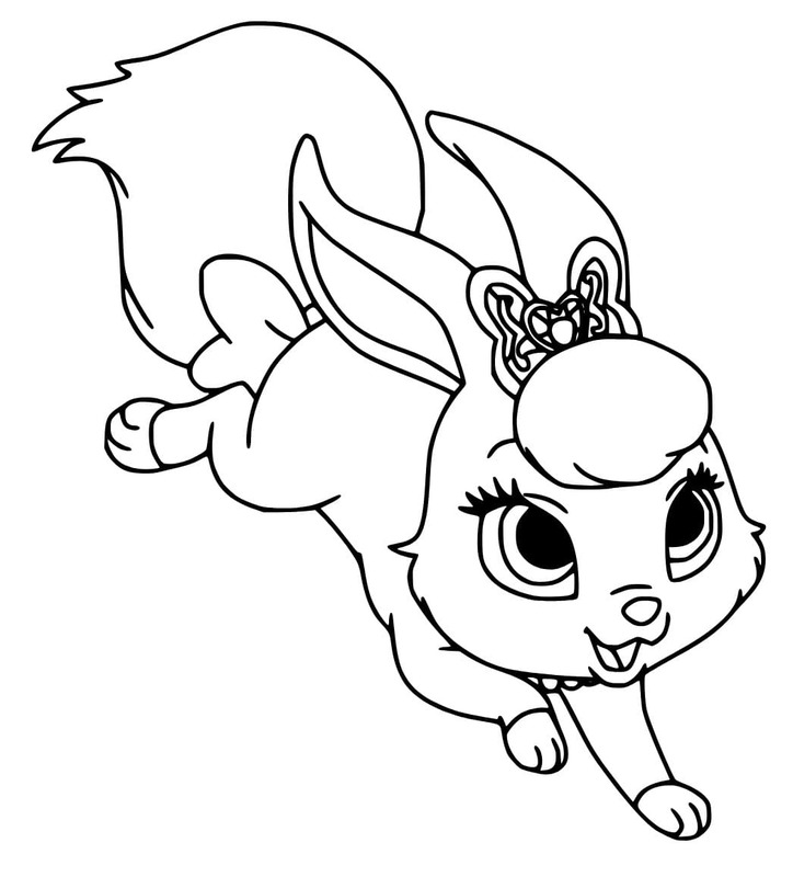 Kolorowanka Narysuj Palace Pets Berry