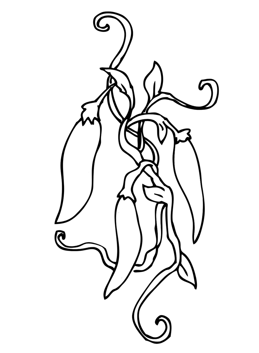 Kolorowanka Narysuj Papryka bezpłatnie dla dzieci