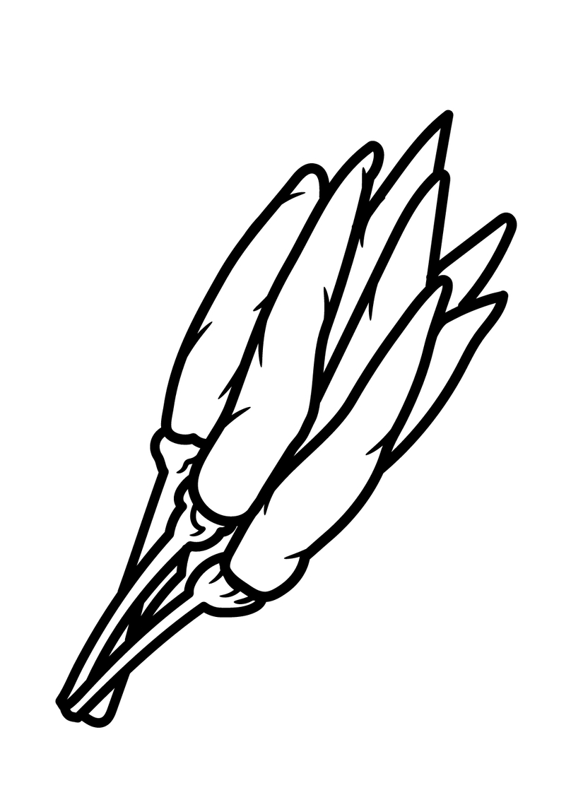 Kolorowanka Narysuj Papryka do druku