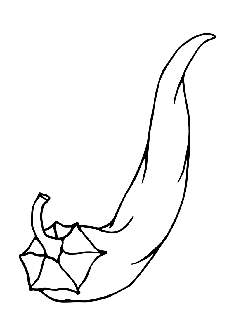 Kolorowanka Narysuj Papryka podstawowy do druku