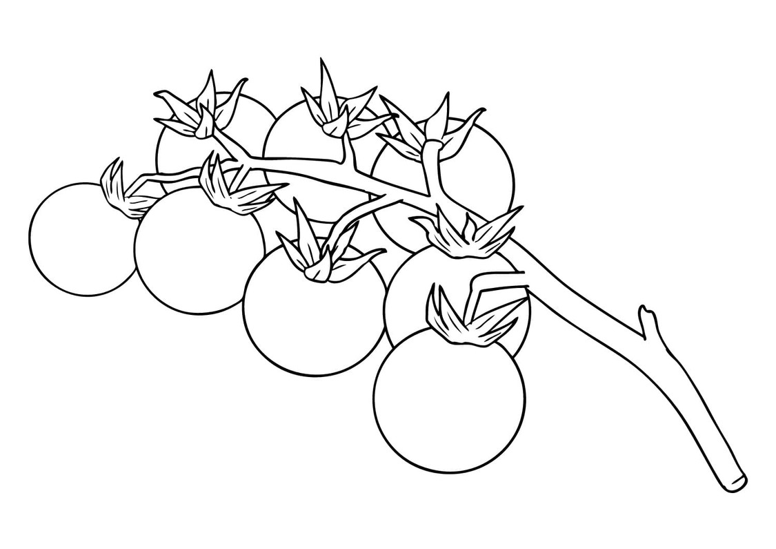 Kolorowanka Narysuj Pomidory do druku