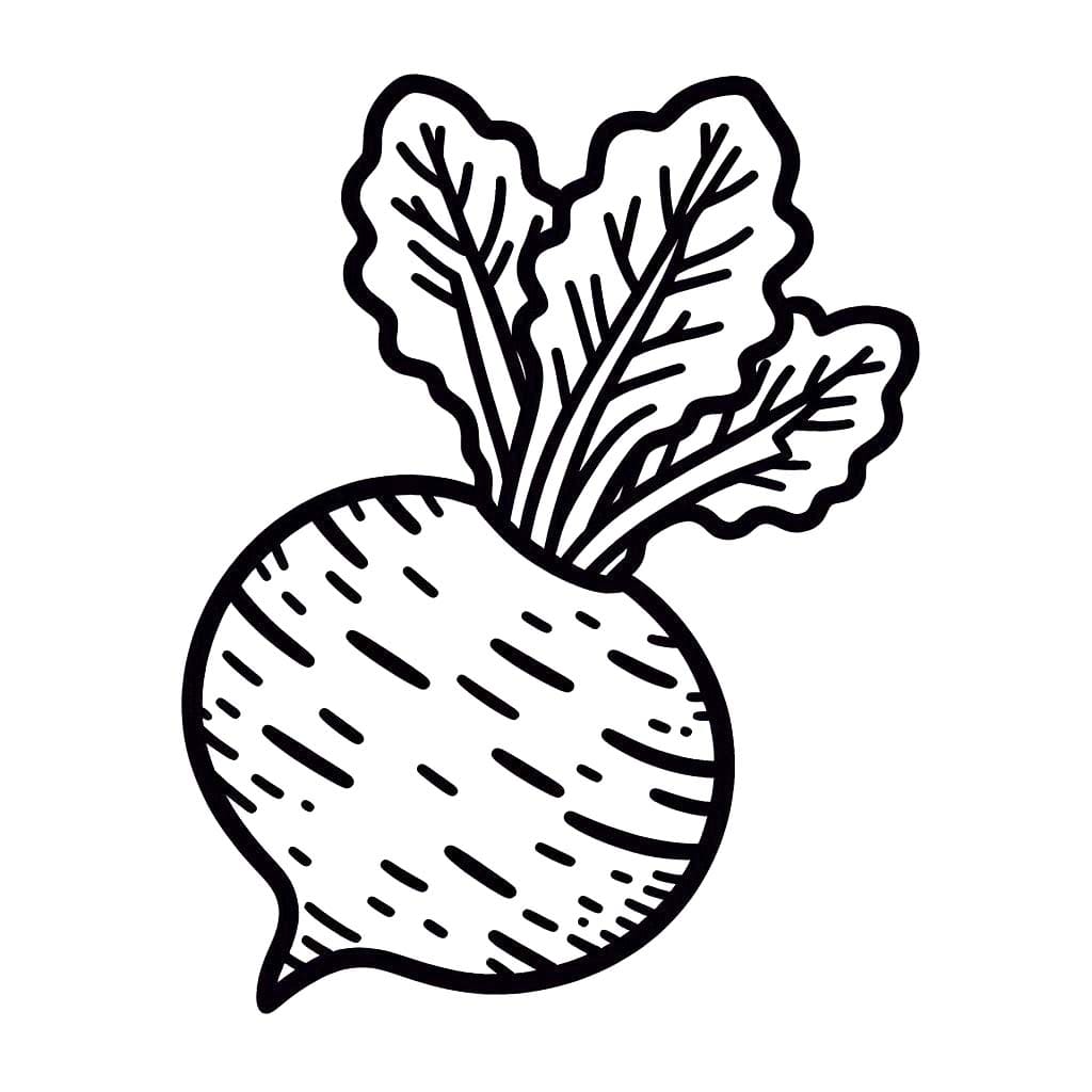 Kolorowanka Narysuj Rzepa bezpłatna łatwy do druku