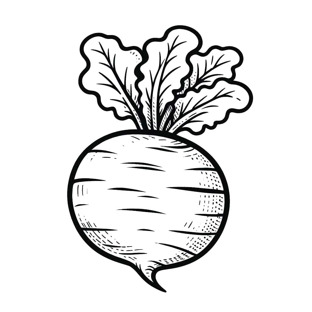 Kolorowanka Narysuj Rzepa bezpłatna łatwy