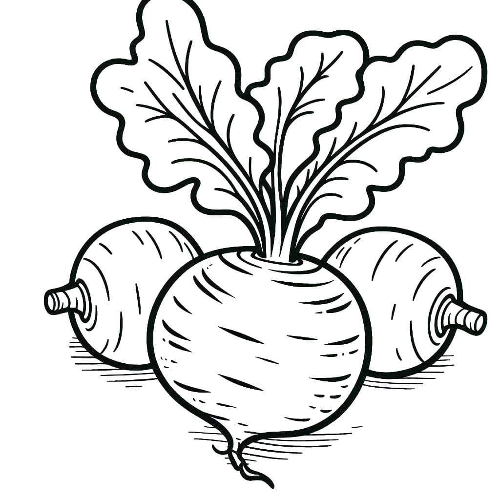 Kolorowanka Narysuj Rzepa bezpłatna prosty do druku