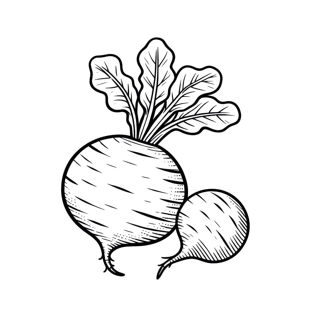 Kolorowanka Narysuj Rzepa bezpłatny