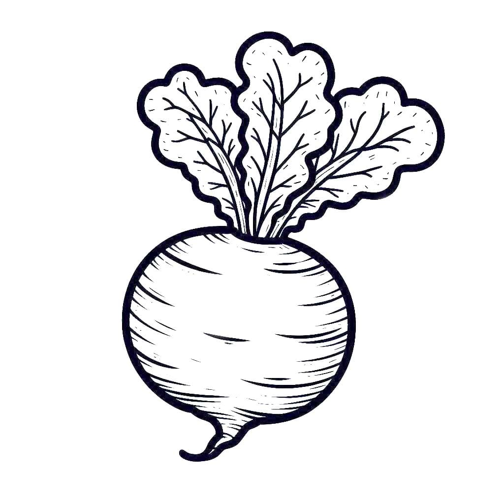 Kolorowanka Narysuj Rzepa do druku