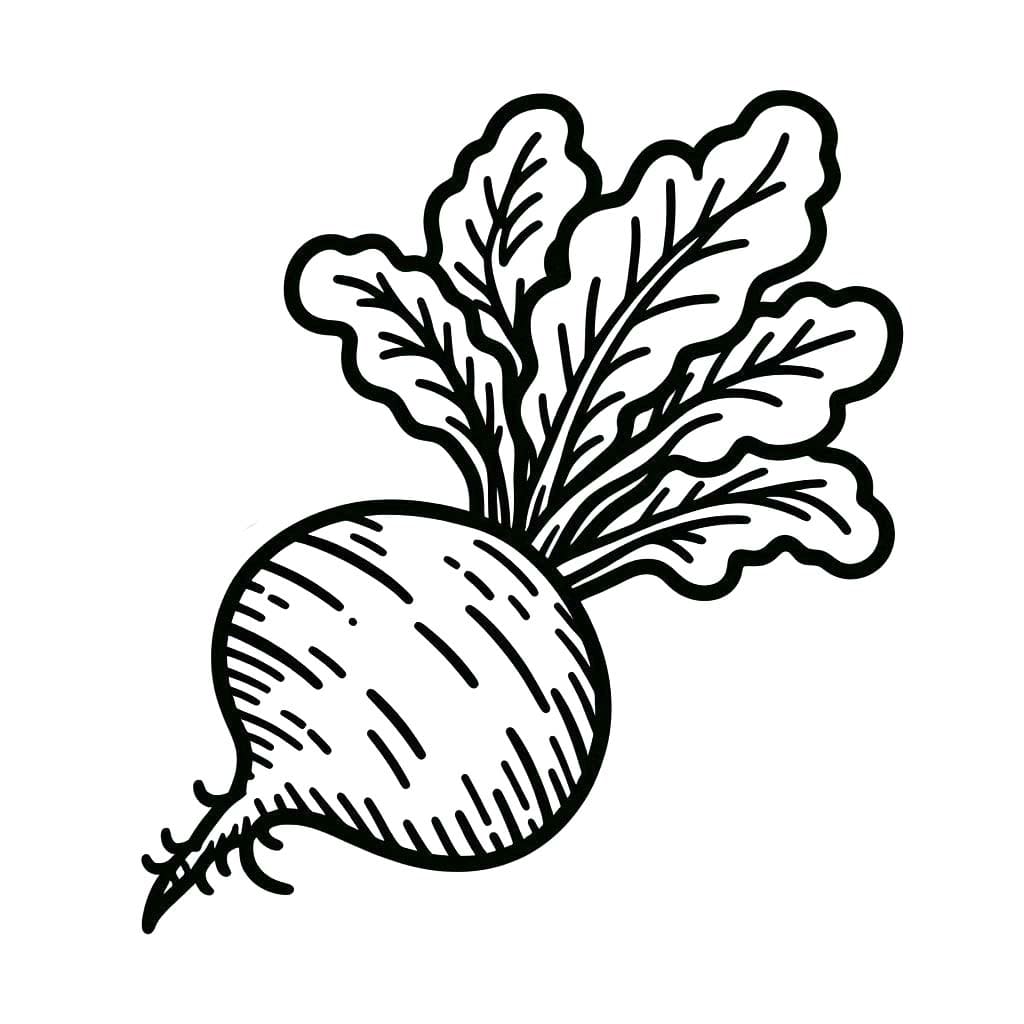 Kolorowanka Narysuj Rzepa łatwy do druku