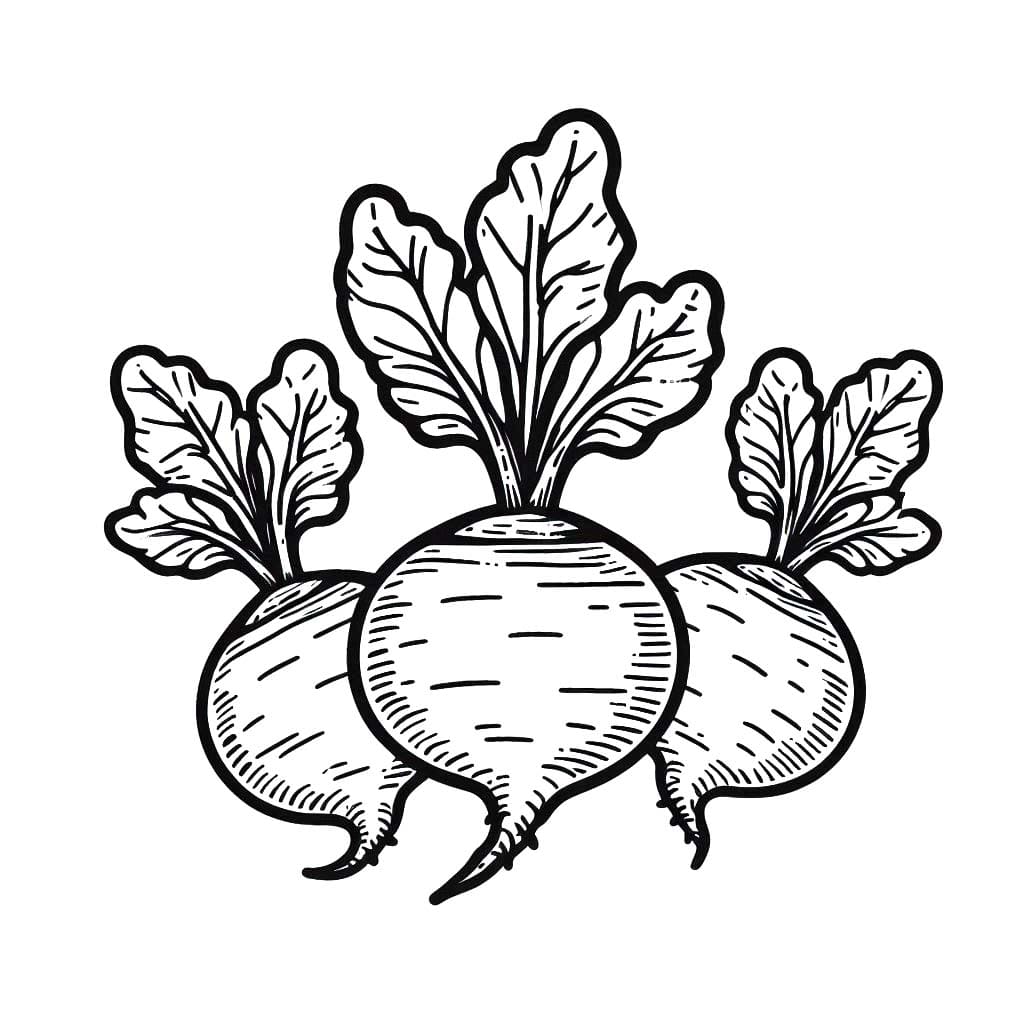 Kolorowanka Narysuj Rzepa podstawowy do druku